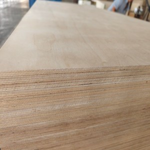 Chất lượng cao Bạch Dương ván ép Độ dày 3/3.6/9/12/15/17/18/20/21mm cho thương mại ván ép lõi Bạch Dương Dương Dương - Product Image 3