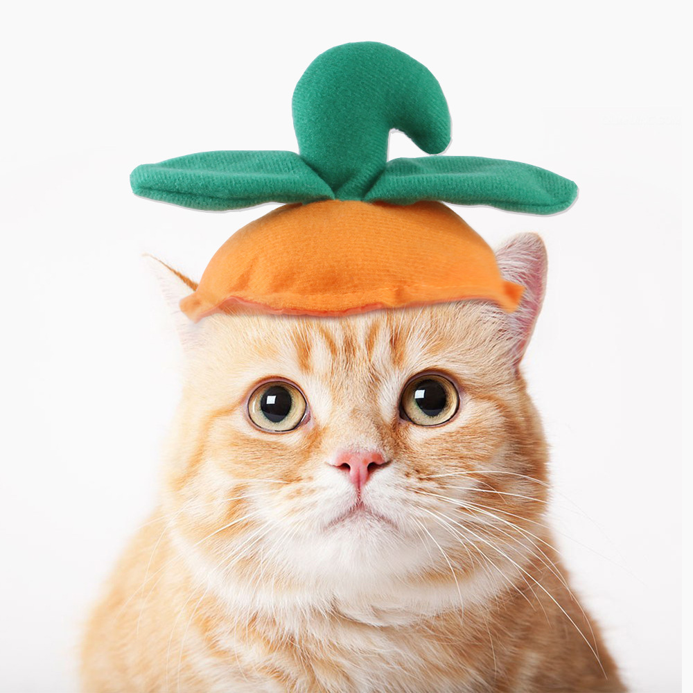 Gorra de calabaza de hoja verde b04409