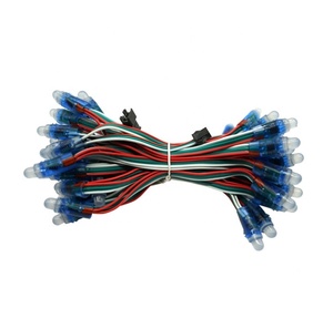 China Wholesale <strong>LED</strong> <strong>Pixel</strong> Light 12 mm <strong>WS2811</strong> IC Full Color IP67 <strong>LED</strong> <strong>Pixel</strong> <strong>String</strong> Light Factory Direct Sale <strong>Led</strong> <strong>Pixel</strong> <strong>String</strong> - Product Image 1