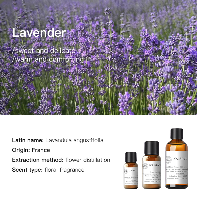 Lavande (France) 10ml
