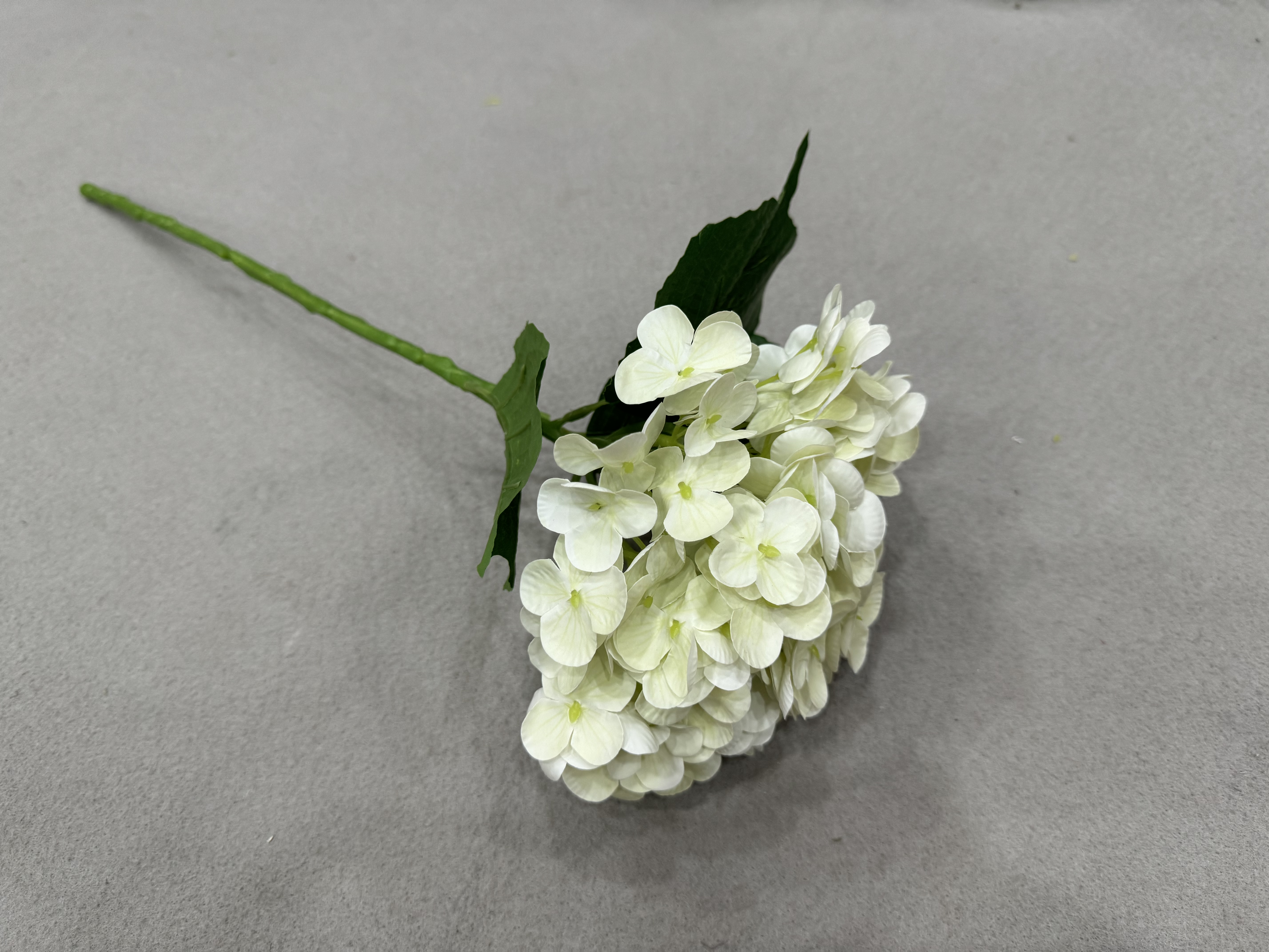 Cream