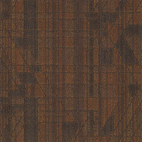 tapis-gracia-4040-7303_01