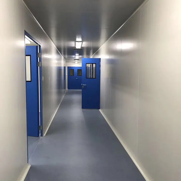 Pintu ayunan kamar bersih 900*2100mm ruang pemurnian lokakarya Baja Pabrik Farmasi pintu kedap udara