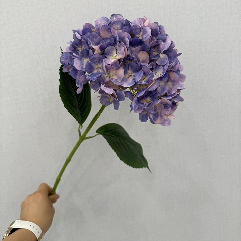 Dark Purple