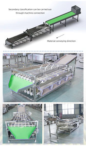 XINLONGJIA Easy Operation Mandarin Orange <strong>Sorting</strong> <strong>Machine</strong> / Strawberry <strong>Sorting</strong> <strong>Machine</strong> / Cherry Tomato <strong>Sorting</strong> <strong>Machine</strong> - Product Image 4