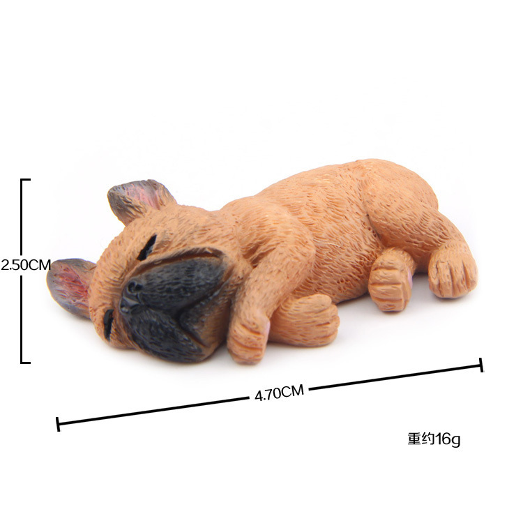 Bouledogue d'escalade côté café profond