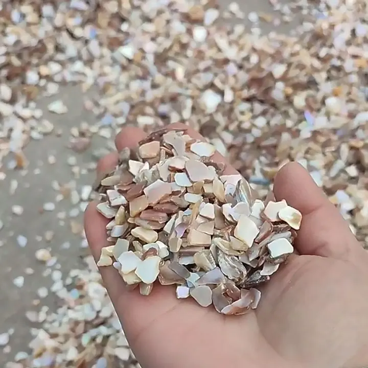 Serpillière en nacre naturelle écrasée, en gros, coquille de mer, chips de gravier pour terrazzo