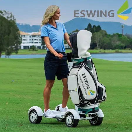 Eswing Werkspreis 4-Rad-Lithium faltbar abnehmbarer Mini-Golfwagen chinesische Elektromobilitäts-Scooter Golfwagen