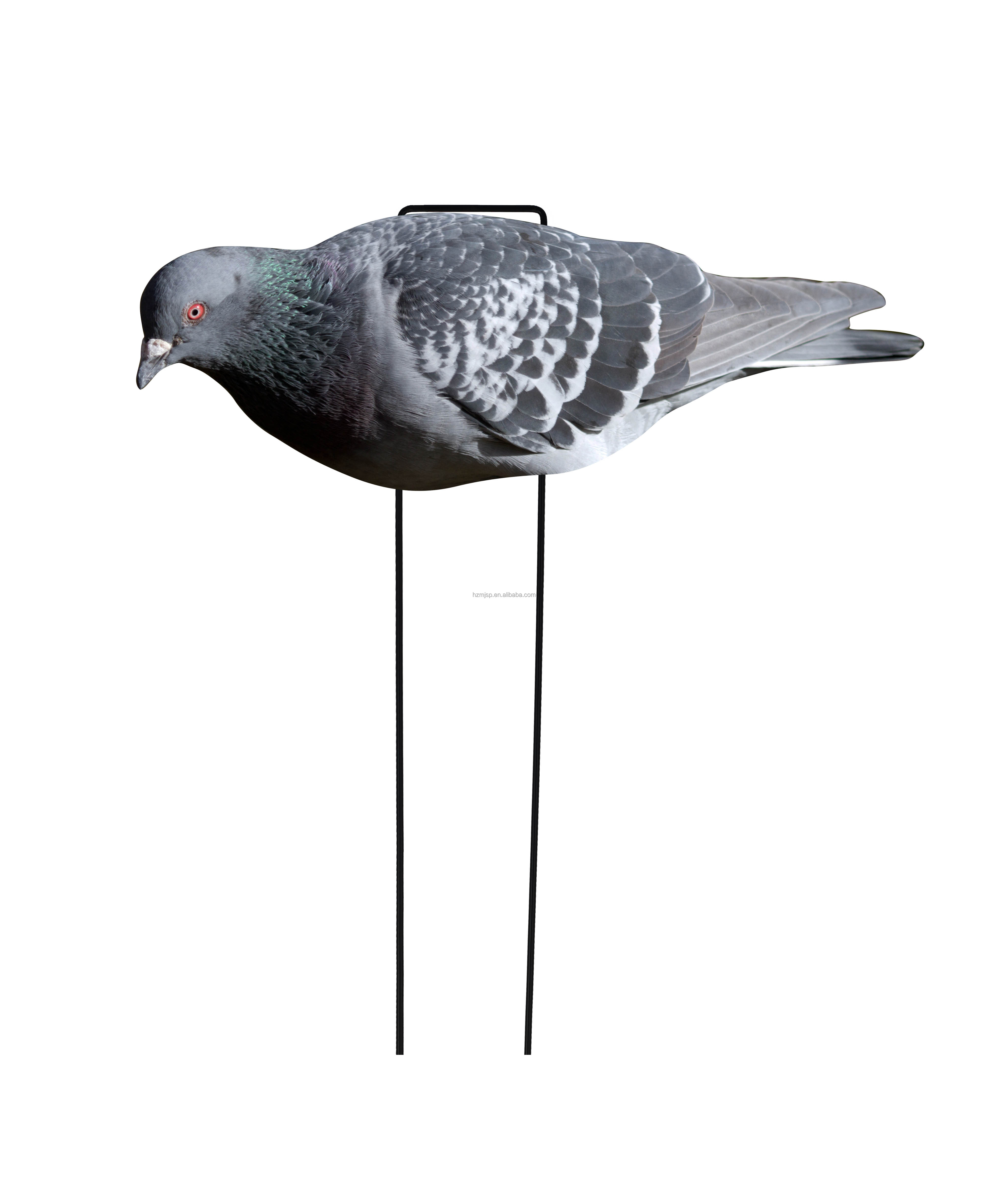 Grey #6 Pigeon