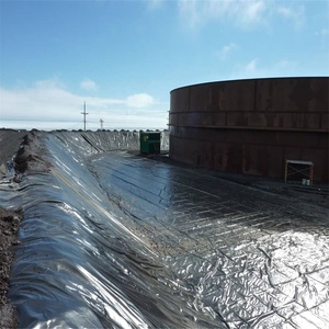 LLDPE/HDPEスムース/テクスチャードジオメンブレンブラックグリーンポンドライナージオメンブレン造園用GriGM13ベストプライス - Product Image 4