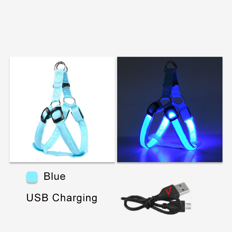 Chargement USB bleu