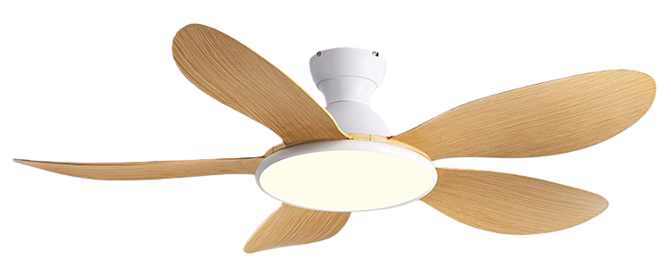 Grain de bois original