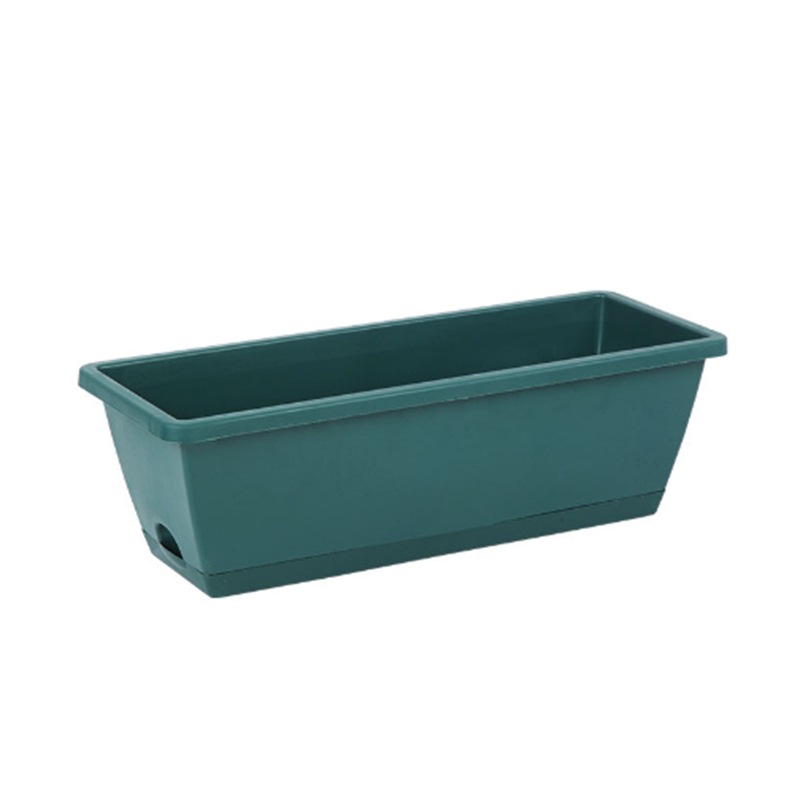 Vert foncé + base