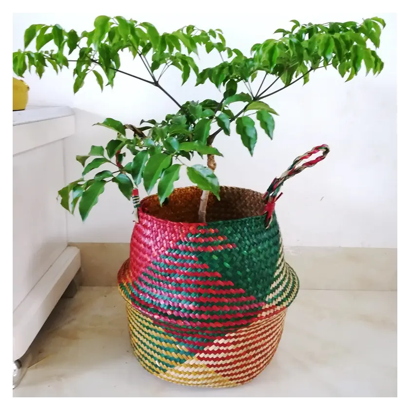 Vendita calda grande rotondo tessuto paglia seagrass pancia cesto tessuto vaso per piante cesto per la conservazione del bucato o vaso per fioriera