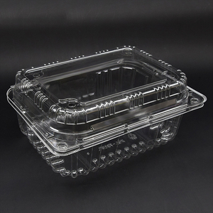 Пластиковая прямоугольная упаковочная коробка с откидной крышкой - Product Image 1