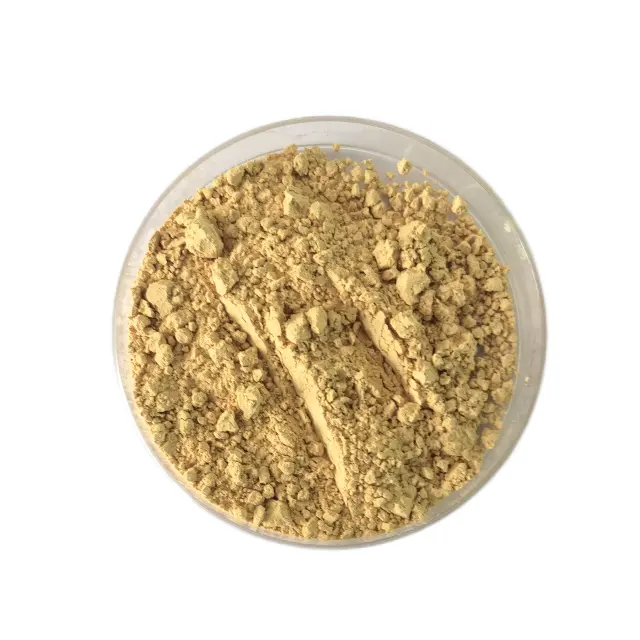 Jiaherb miglior prezzo 80% silimarina cardo mariano estratto in polvere estratto di erbe