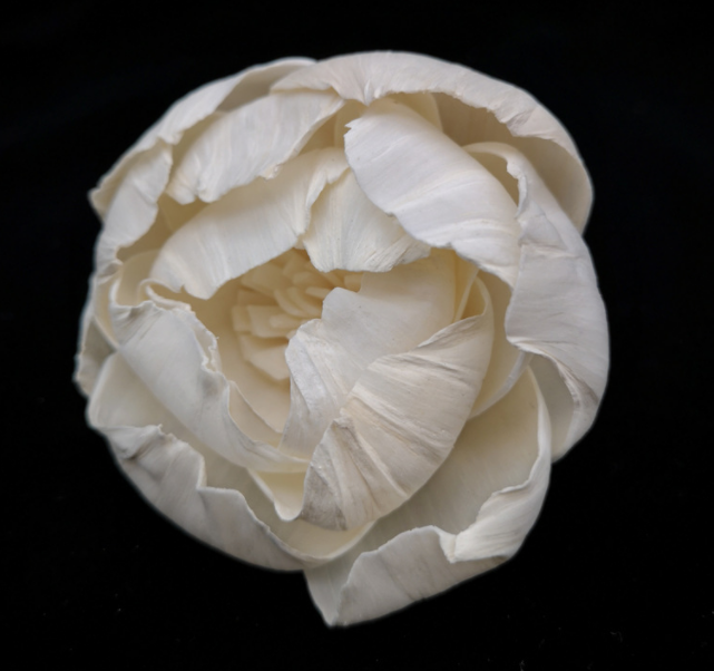 10 white