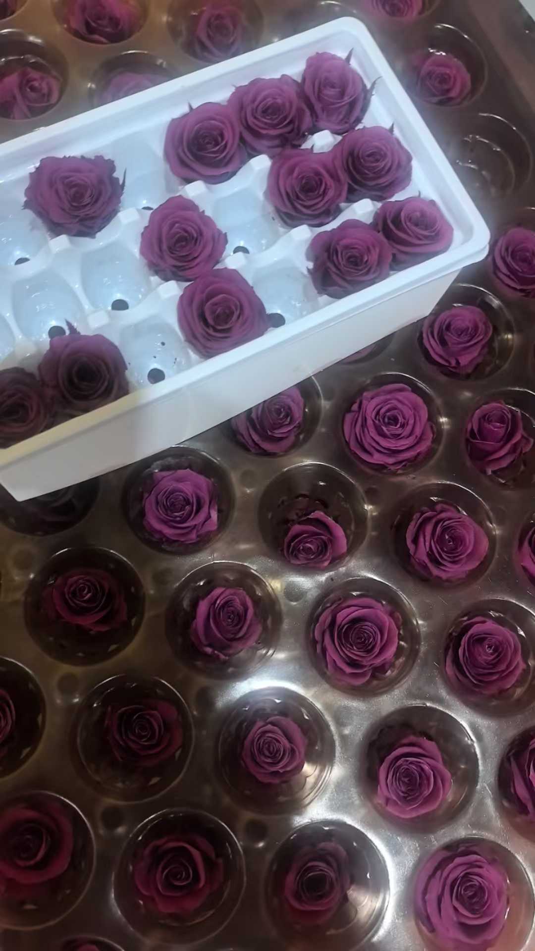 ciruela