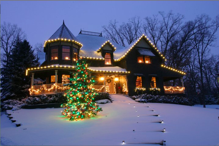 Holiday Party Rice Light Decorative Outdoor Waterproof Christmas Rice Light Led Decorative