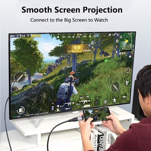 4K 8K 60HZ通用串行总线C至高清电视电缆适配器转换器C型公至高清/VGA/DP/迷你DP/RJ45母电缆，用于计算机附件 - Product Image 5