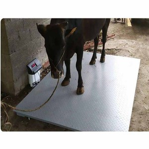 Quy mô sàn 1/3/5 tấn nền tảng không dây công nghiệp có trọng lượng quy mô lớn nền tảng điện tử thép LCD/LED hiển thị OEM - Product Image 4