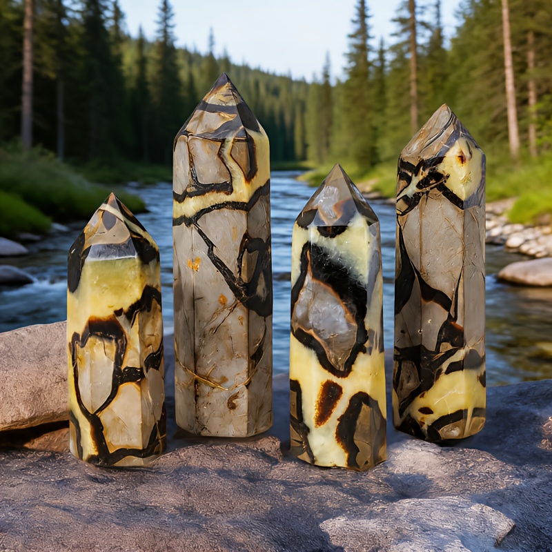 จุดเซปทารีียน