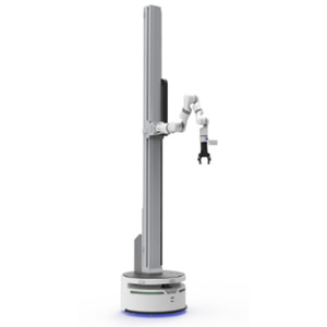 Robot de elevación móvil compuesto inteligente personalizado Automatización de brazo robot colaborativo industrial pequeño robot multieje - Product Image 3