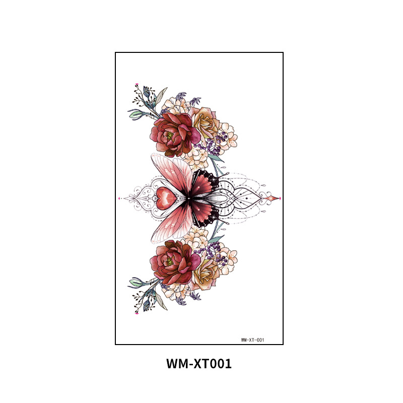 WM-XT-001 WM-XT-001 WM-XT-001