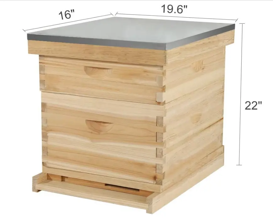 Equipamento de apicultura de madeira, 10 quadros/8 quadro langstrth colmeia de abelha/colmeia caixa para venda