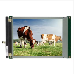 Pantalla LCD de 5,7 pulgadas 320*240 STN CCFL de 14 pines, pantalla de monitor LCD, panel LCD - Product Image 1