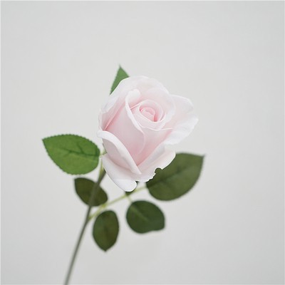 Single kate rose-light pink