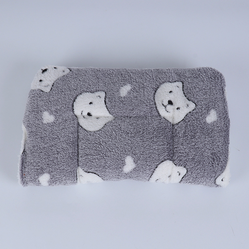 Gray White Bear