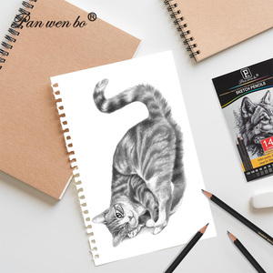 14 Gói 12B-5H Graphite Bút Chì Chuyên Nghiệp Vẽ Phác Thảo Bút Chì Nghệ Thuật Bút Chì Cho Vẽ Và Bóng - Product Image 5