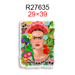 R27635 R27635