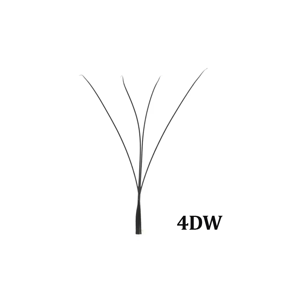 4DW