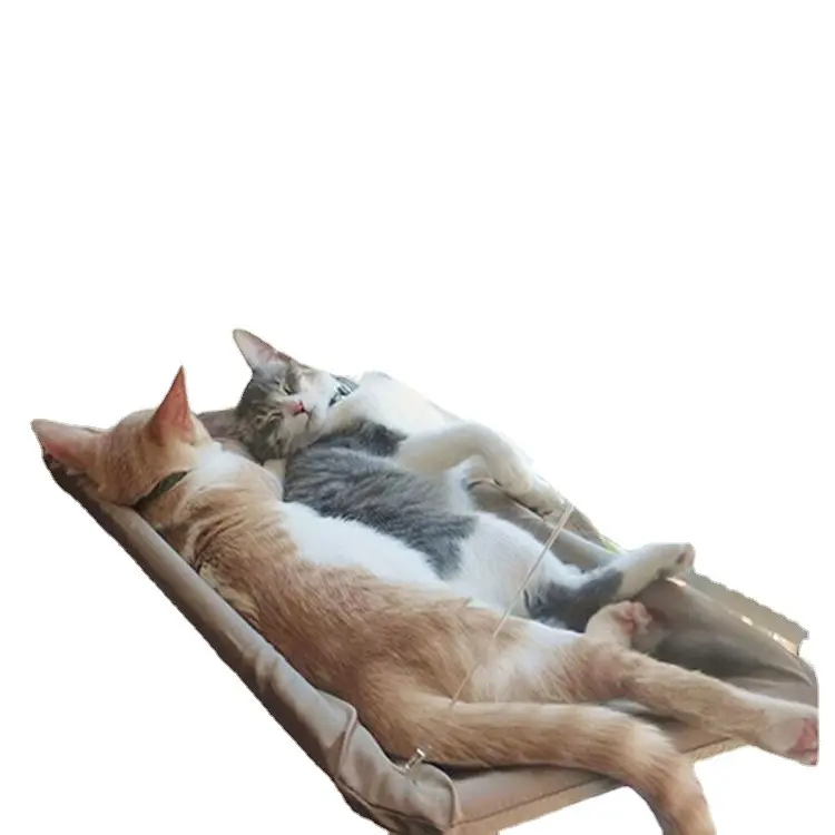 Premium Kat Wandhangmat Gemonteerd Ruimtebesparend Kattenhangmat Raam