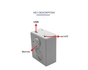 Small <strong>USB</strong> Sound Voice Recording <strong>Device</strong> Module Custom <strong>Programmable</strong> Plastic Box with Customized Music Chip for Plush Toys - Product Image 1