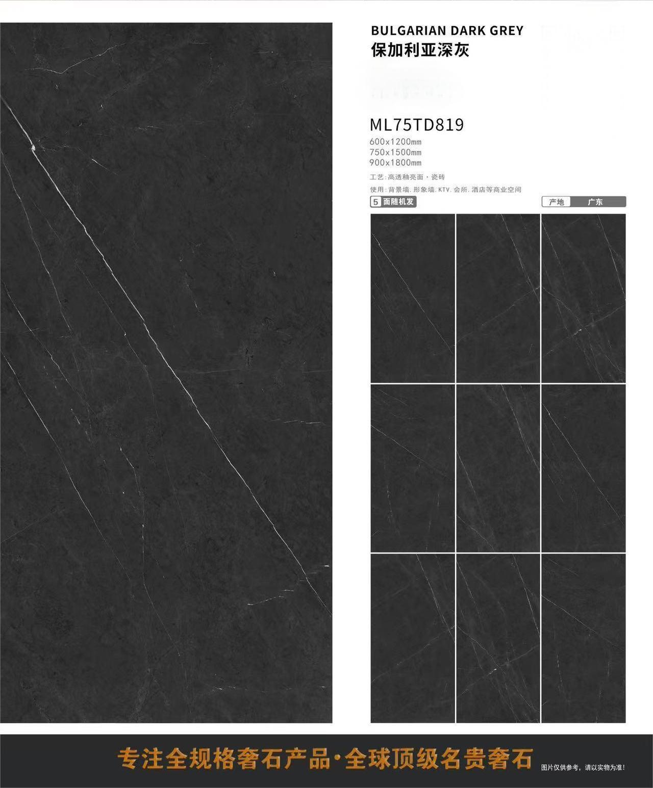 ML819