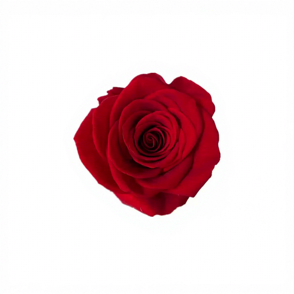 Rosso Grado B