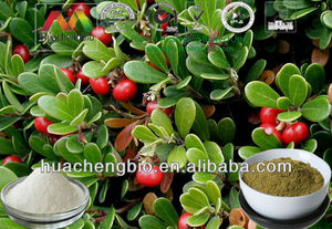 Bearberry Leaf Extract Powder <strong>Uva</strong> <strong>Ursi</strong> <strong>P.e</strong>. <strong>Uva</strong> <strong>Ursi</strong> Leaf Extract With Ursolic Acid - Product Image 3