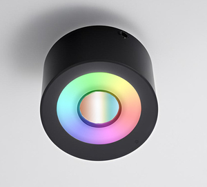 Benory 12W 24V RGBW Loxone DALI Ceiling Downlight KNX <strong>DMX</strong> <strong>PWM</strong> Casambi Tuya Wifi <strong>Control</strong> Recessed RGBCCT Smart Downlight - Product Image 6