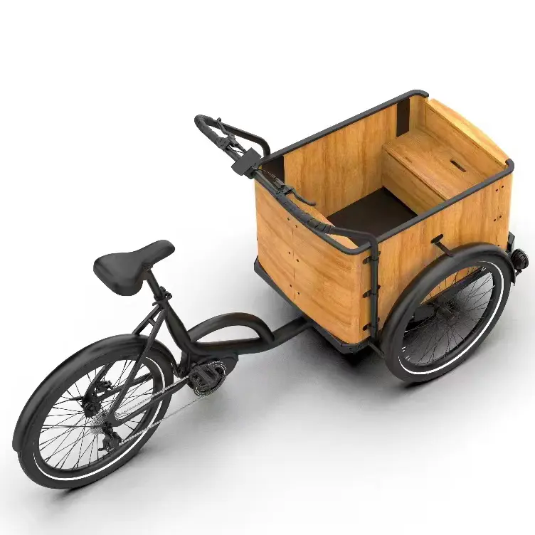 Bicicleta de carga eléctrica holandesa de 250W Bicicleta de carga eléctrica de 3 ruedas para niños