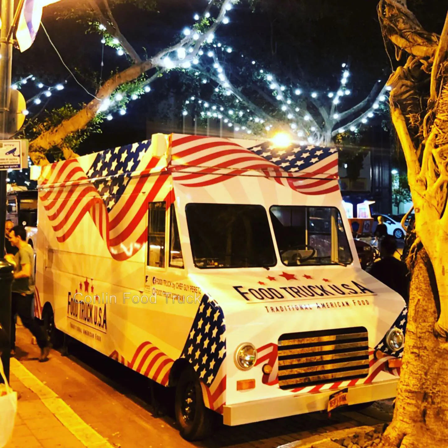 American electric fast food trucks mobile food kitchen kebab van for sale