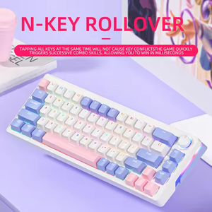 65% Mini teclado RGB 68 teclas intercambiables en caliente 2,4 Ghz con cable Doubleshot Keycaps Gaming Teclado mecánico para computadora - Product Image 5