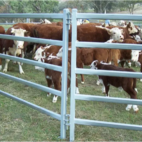 Pannelli corral del bestiame dell'azienda agricola del cortile del bestiame alla rinfusa del metallo saldato galvanizzato portatile poco costoso all'ingrosso