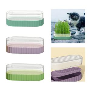 Hot Selling Matatabi Nature <strong>Catnip</strong> Cleaning Teeth Tools Chew Toy for <strong>Cat</strong> Interactive Training Pet <strong>Cat</strong> Toys - Product Image 3