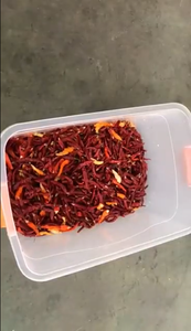 Indonesia Chilli <strong>Color</strong> Sorter Belt Type Chilli <strong>Sorting</strong> <strong>Machine</strong> with Full <strong>Color</strong> CCD <strong>Sensor</strong> Camera and Remote Function - Product Image 3