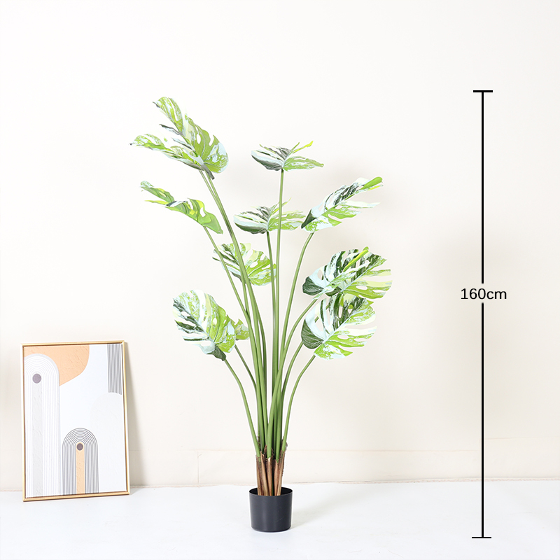 Vert 160cm