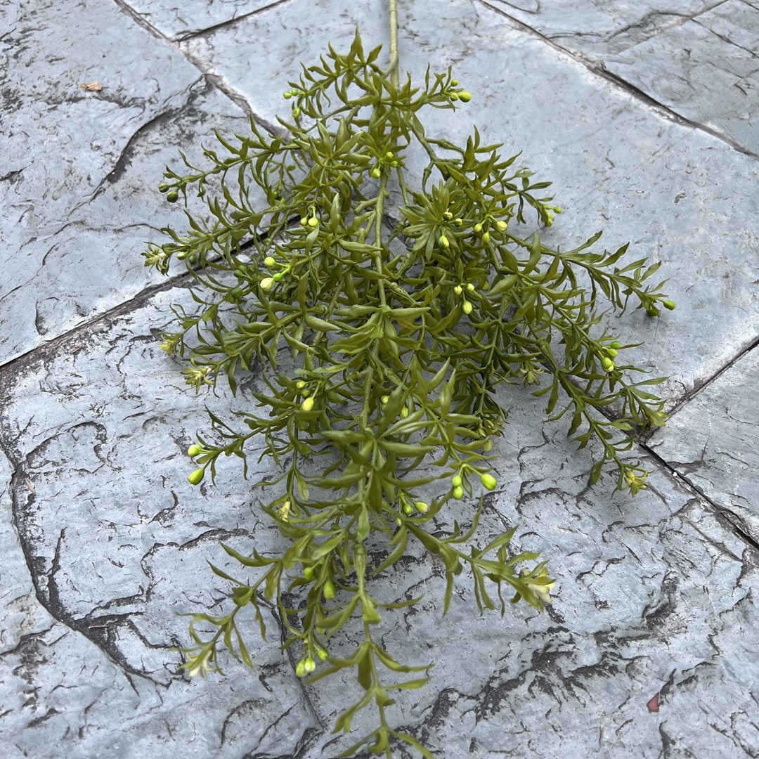 Vert Muri