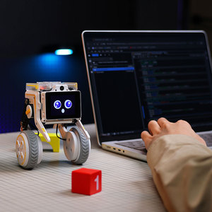 Rider Pi Carbon Fiber Pleuel struktur Dual Wheel Legged Robot Support Python-und AI-Funktionen